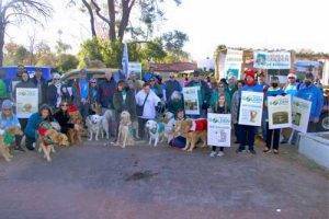 fiesta bowl parade 2022 2