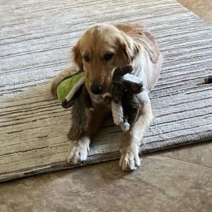 23 079 Anna now Tally1