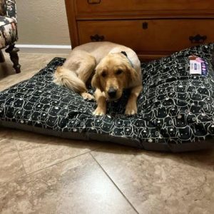 23 079 Anna now Tally2