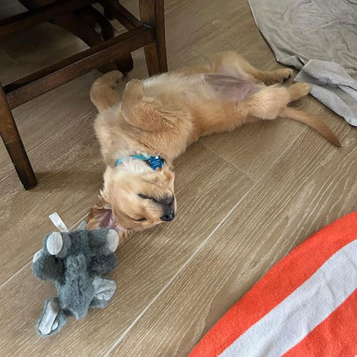 23 084 Bella now Sedona