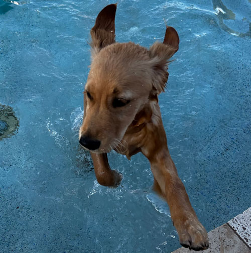 23 090 Cassie now Willow