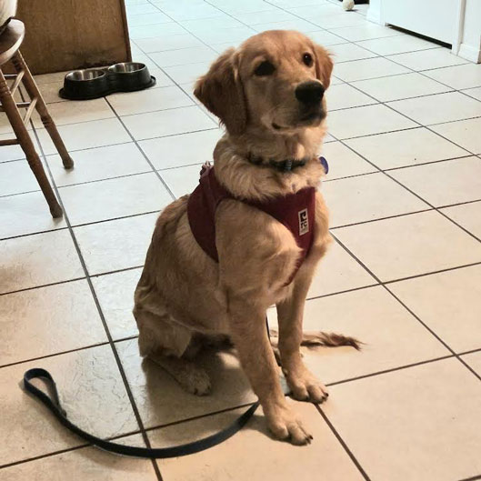 23 087 Brandy now Gracie