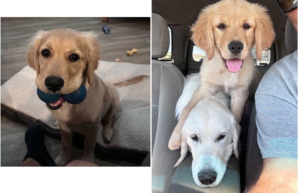 23 111 Sophie now Lexi2