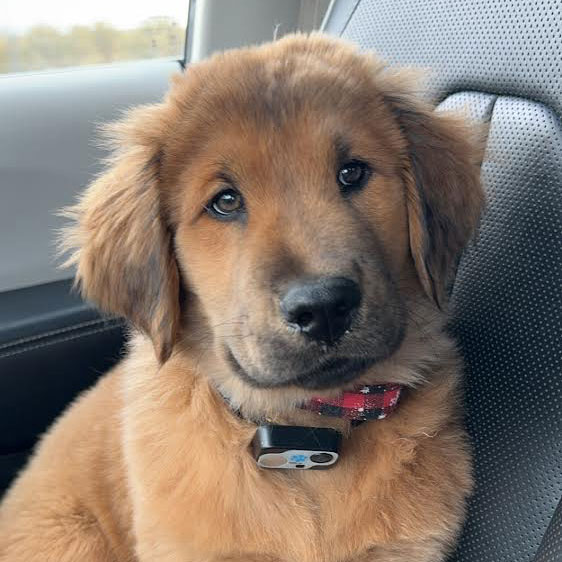 23 122 Purple now Gabriel