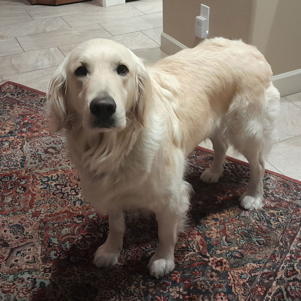 23 134 Judy Bloom now Amme