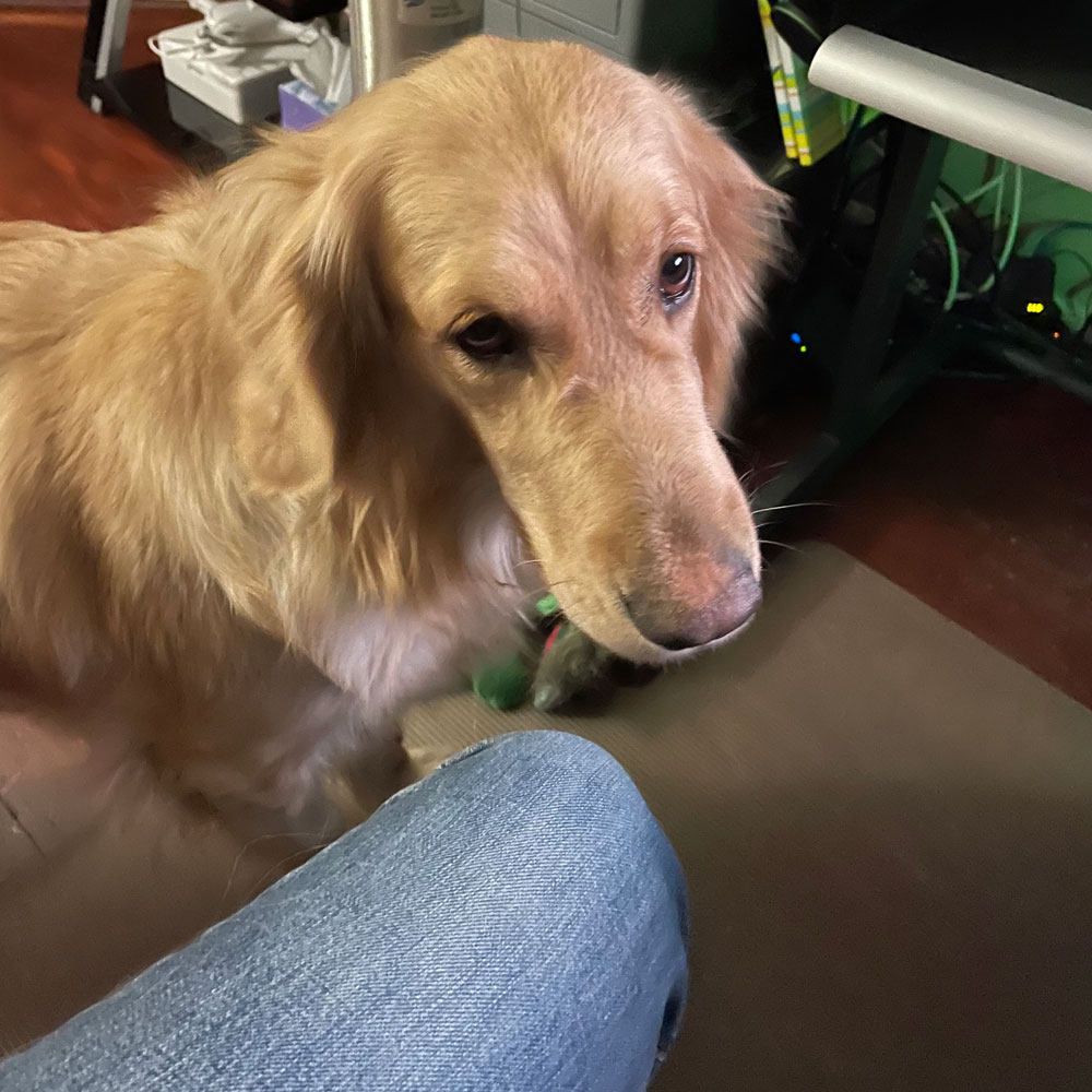 23 144 Stella now Skye