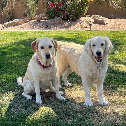 24 011 Claire now Maggie