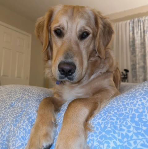 24 021 Denver now Charlie1