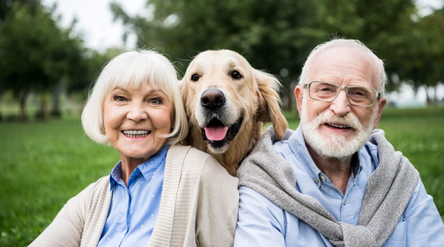 older couple with golden