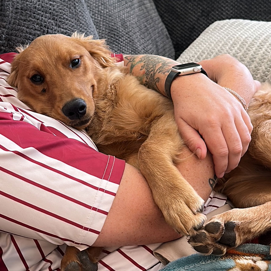 24 033 Brook now Harper