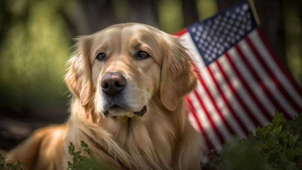 fiesta bowl parade fiesta bowl parade