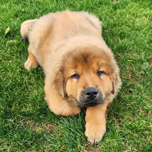 23 129 Orange now Messi