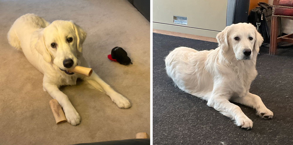 24 074 Gray Silver now Penny1